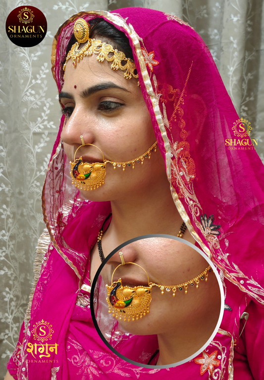 Shagun Rajasthani Nath01